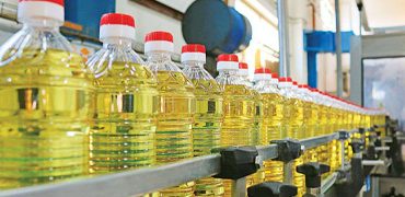 Oil
