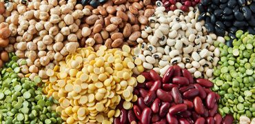 Pulses