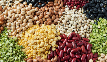 Pulses