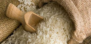 Rice