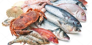 Sea Food