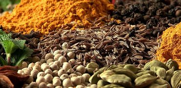 Spices