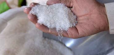 Sugar