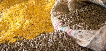 animal feed3